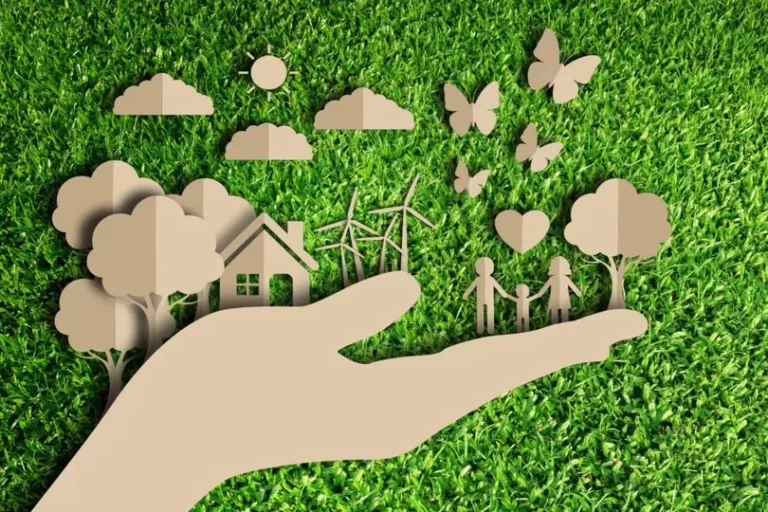 Cáritas Habana convoca al concurso “Contemplar y cuidar el medio ambiente” 2 175984592 4316527055027148 5676639083136448095 n