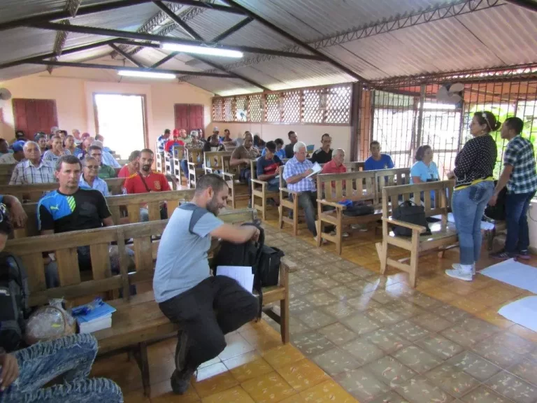 1En busca de una mejor cosecha en Primavera convert.io