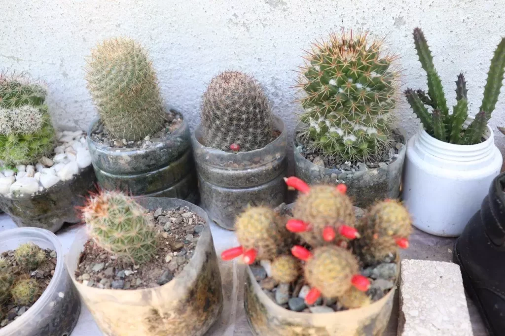 20200625141457 IMG 1227