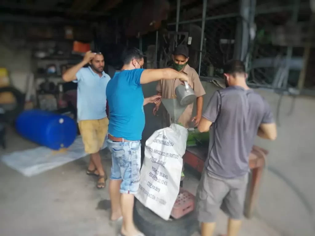 5. voluntarios procesan maiz emergencia alternativas guantanamo caritas cuba personas mayores servicios alimentacion