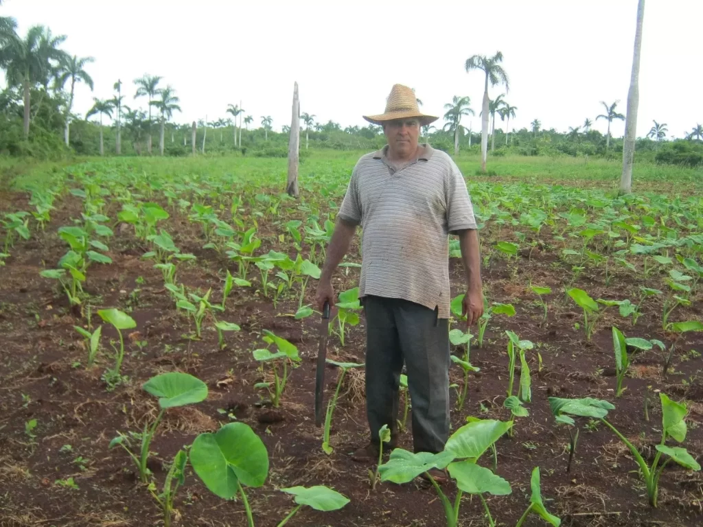 99142316 1265184290492486 785067017517400064 o