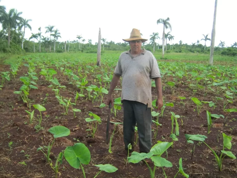 99142316 1265184290492486 785067017517400064 o