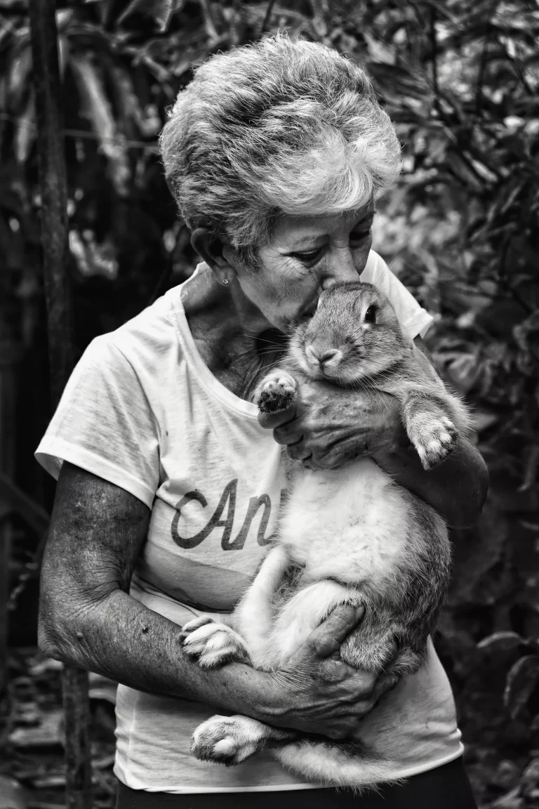 AnyConv.com IMG 1742 01