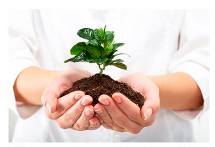 concurso anual caritas cuba matanzas ppm 2020