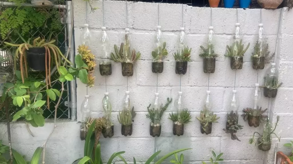 Cáritas Habana sensibiliza sobre la necesidad del cuidado de la casa común 8 AnyConv.com 8 Caritas Habana cuidado de la casa comun