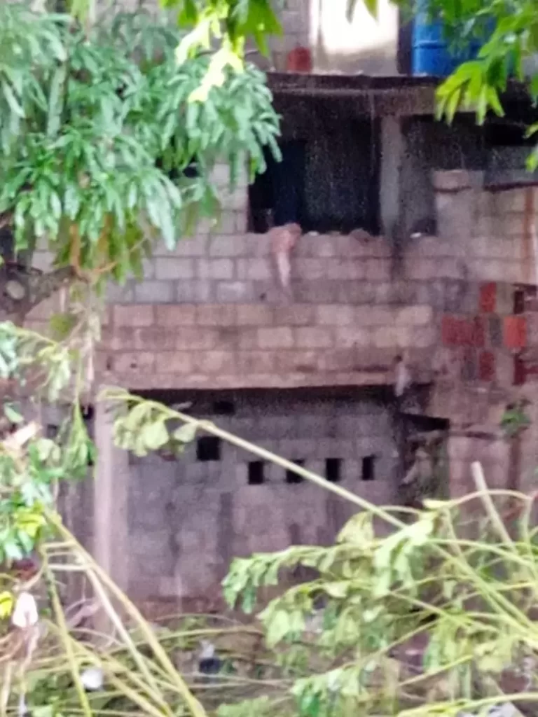 AnyConv.com Historias desde whatsapp 10