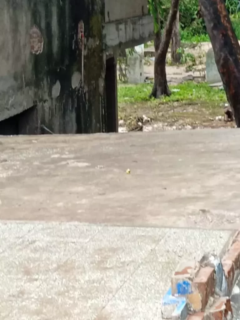 AnyConv.com Historias desde whatsapp 3