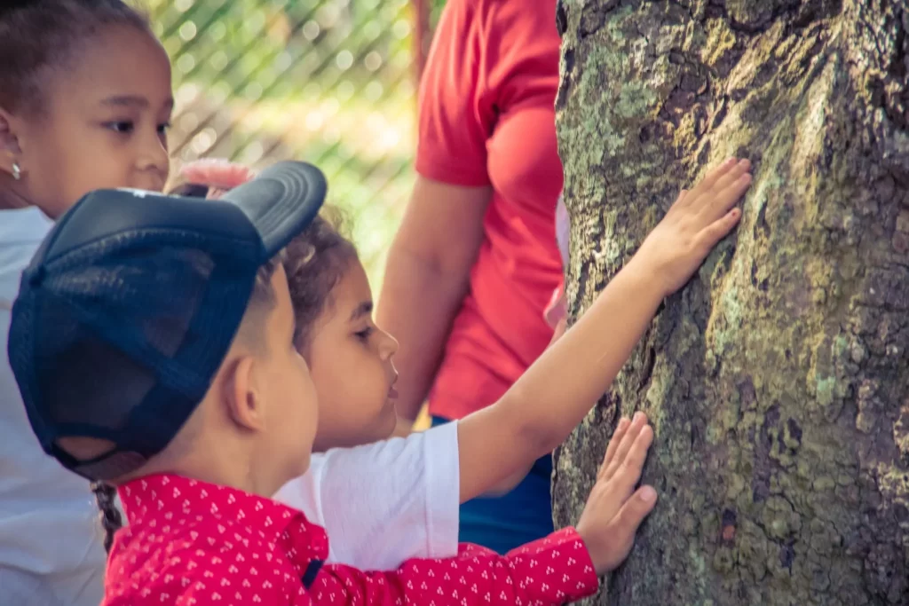 Pequeños guardianes del planeta: celebrando el Día Mundial del Medio Ambiente 14 Dia Mundial por el Medio Ambiente 13