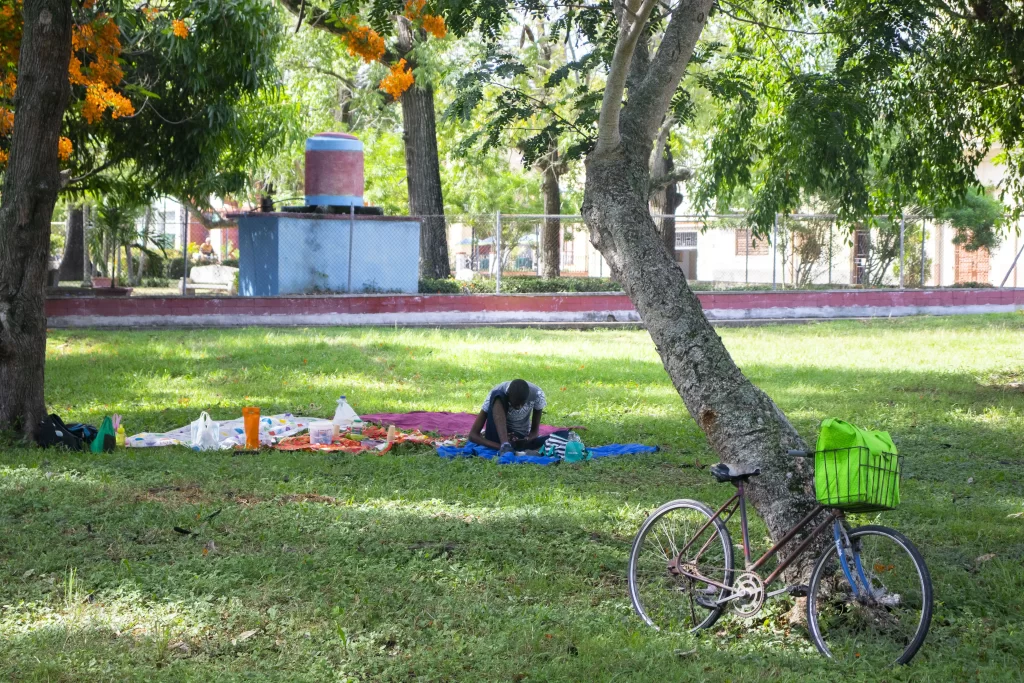 AAC verano 08