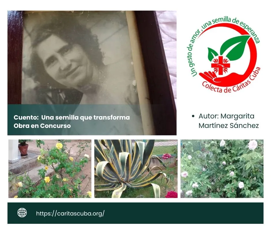 Cuento: Una semilla que transforma
