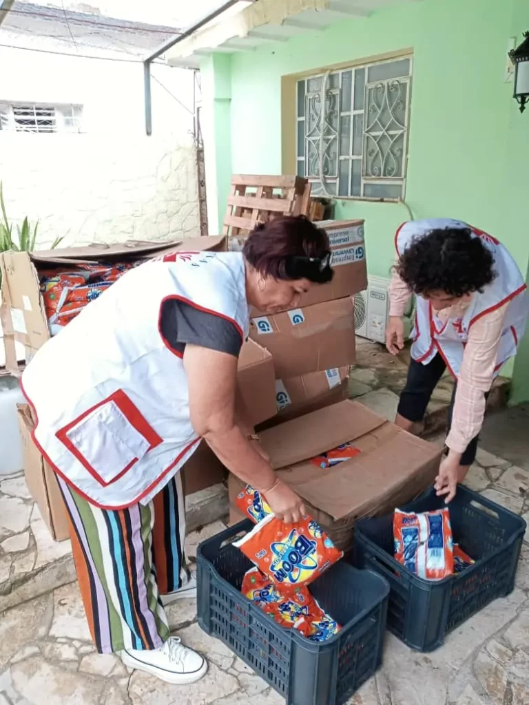 Salvaguardia en Emergencia 1