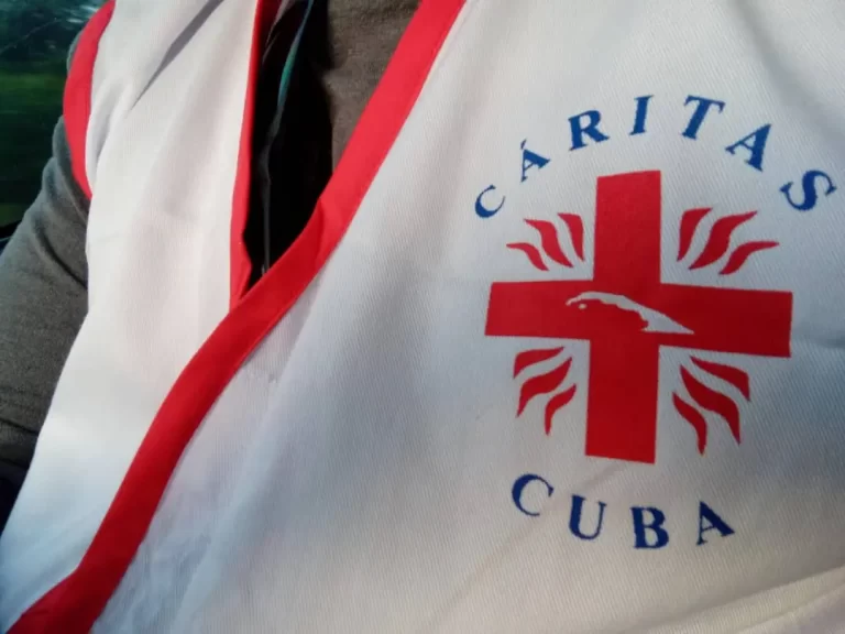 Salvaguardia: manos que auxilian y corazón que acompaña 4 Salvaguardia en Emergencia 4