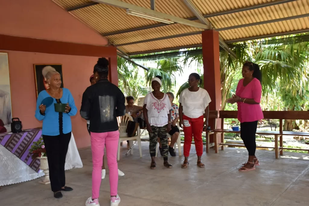 Convivencia de voluntarios del Programa de Personas Mayores 29