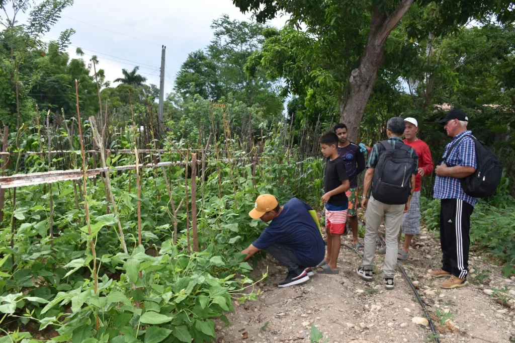 Huerto Yateritas 11zon