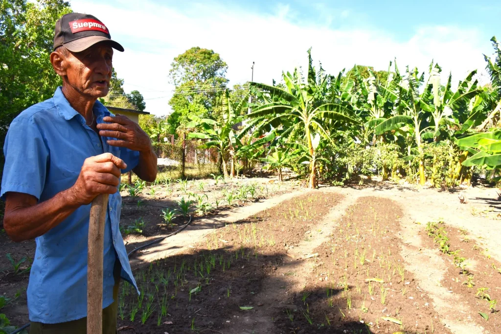 huertos Sta Maria 16