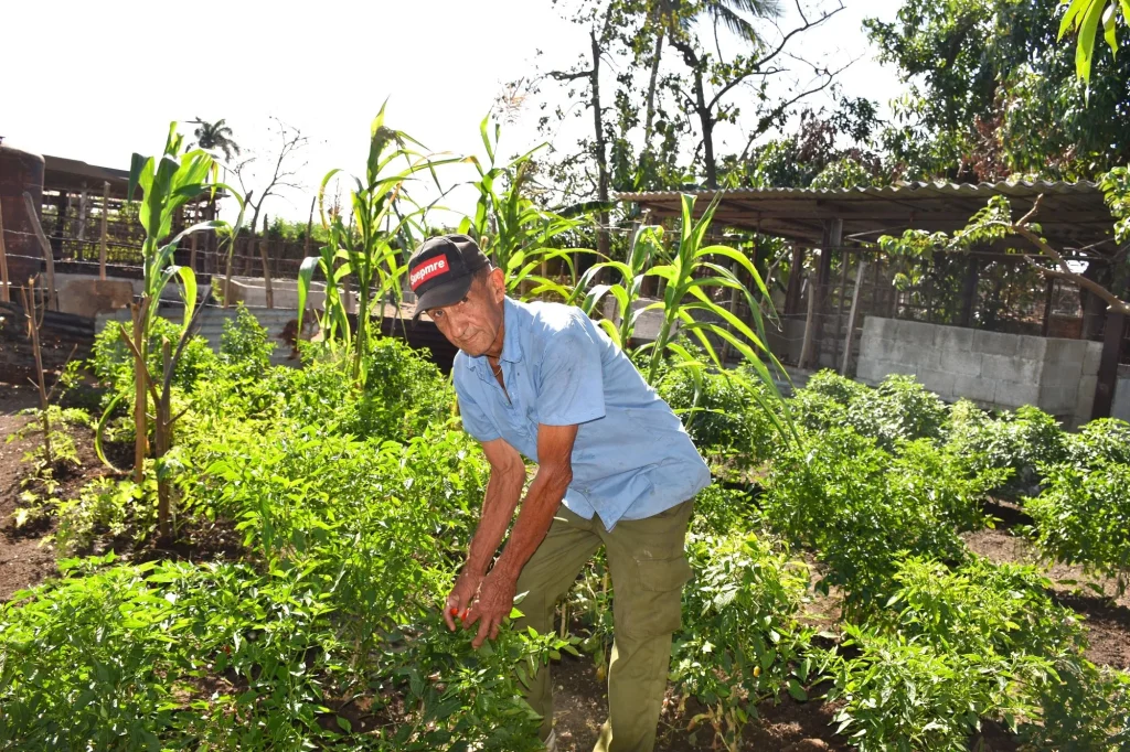 huertos Sta Maria 17 1