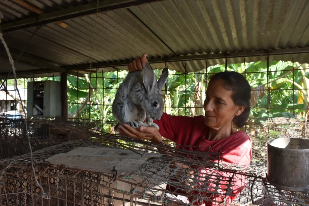 huertos Sta Maria 5 1