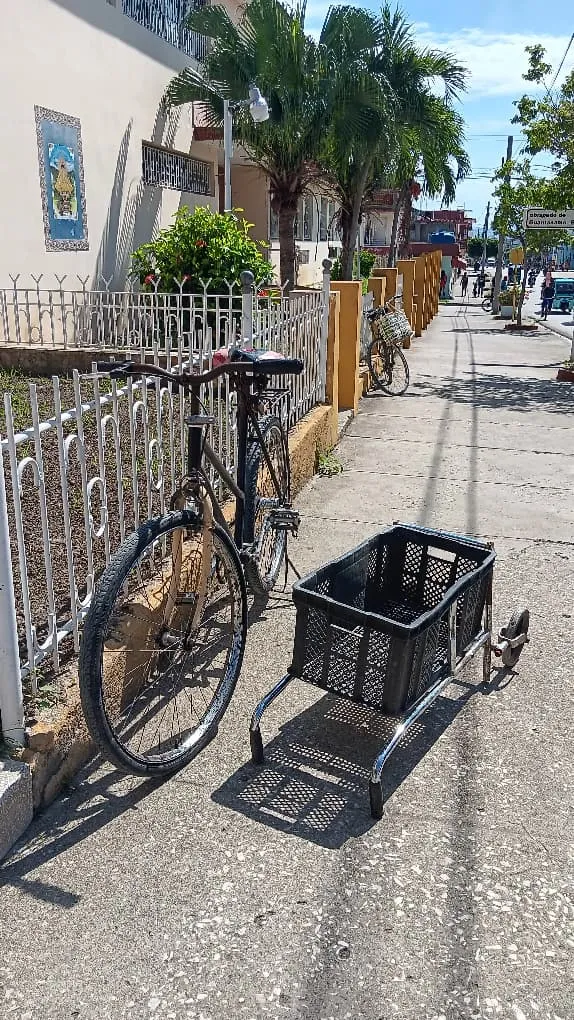 El milagro de la ayuda compartida 5 Alternativas de beneficiarios para transportar donativos 1 11zon