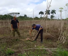 Pequeños Proyectos 12